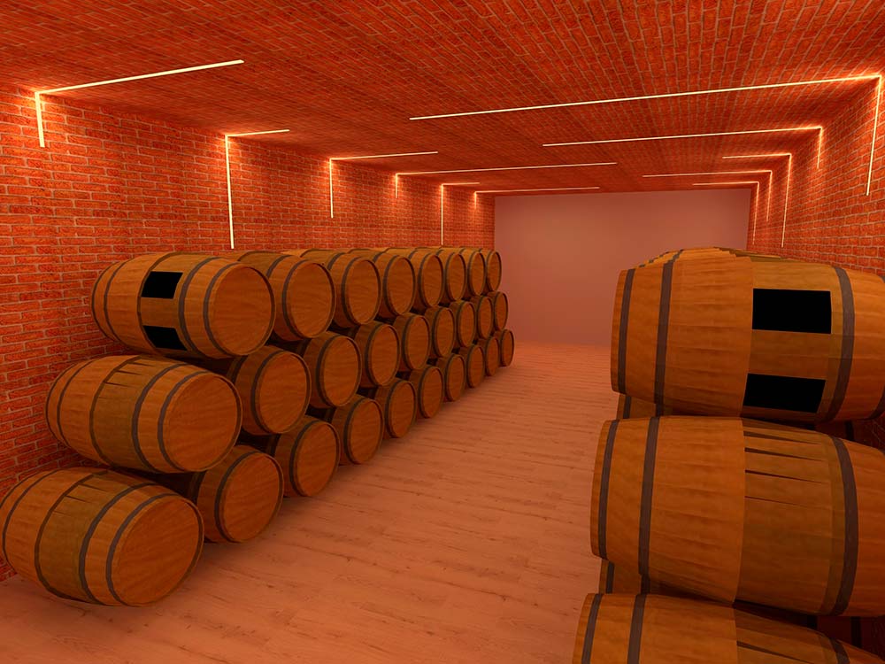 proyecto-iluminacion-bodega-5